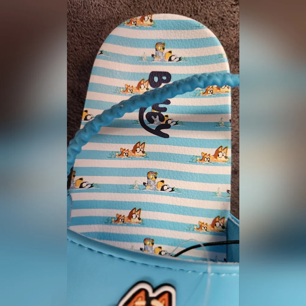 Bluey Toddler Girls/Boys Slides